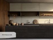 Компакт-плита 4200х1300х12 мм 5530 AK Mature Oak (Kraft)(Puricelli)