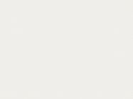 ЛДСП Kronospan 0110 SM Белый 2800x2070x10 