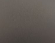 AGT панель 394 Пікассо нержавіюча сталь Матовий/Білий PE 2800х1220х18