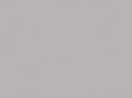 ЛДСП SwissPan PE Сірий 2750x1830x16