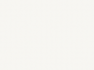 ЛДСП Egger W980 ST2 Белый платиновый 2800x2070x10