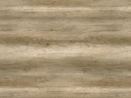 Компакт-плита 4200х1300х12 мм 669 ROOT Дуб натуральний (Black core)(Abet Laminati)