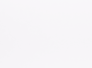 ПФ LuxeForm L016 1U Платиновый белый 3050x600x38