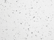 ПФ FAB Италия 4100 Lucido D2,5 Стелла Бьянка (Влагостойкая) 4190x600x38