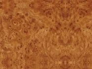 ПФ LuxeForm W225 1U Корень розы 3050x600x28