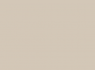 ЛДСП SWISS KRONO U119 PE Світлий Беж 2800x2070x18